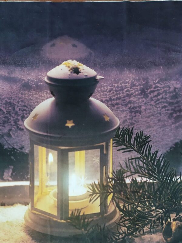 <span class="brand"></span></br>pannello in velluto stampa lanterna